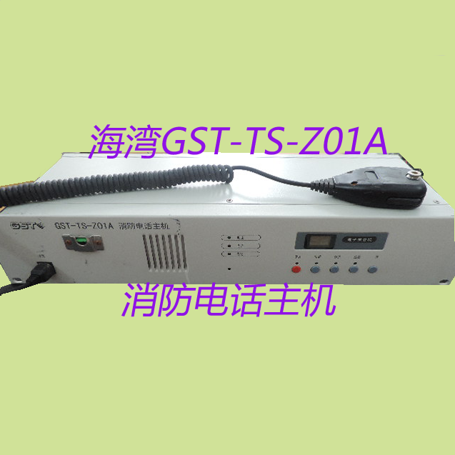 GST-TS-Z01A (1).png